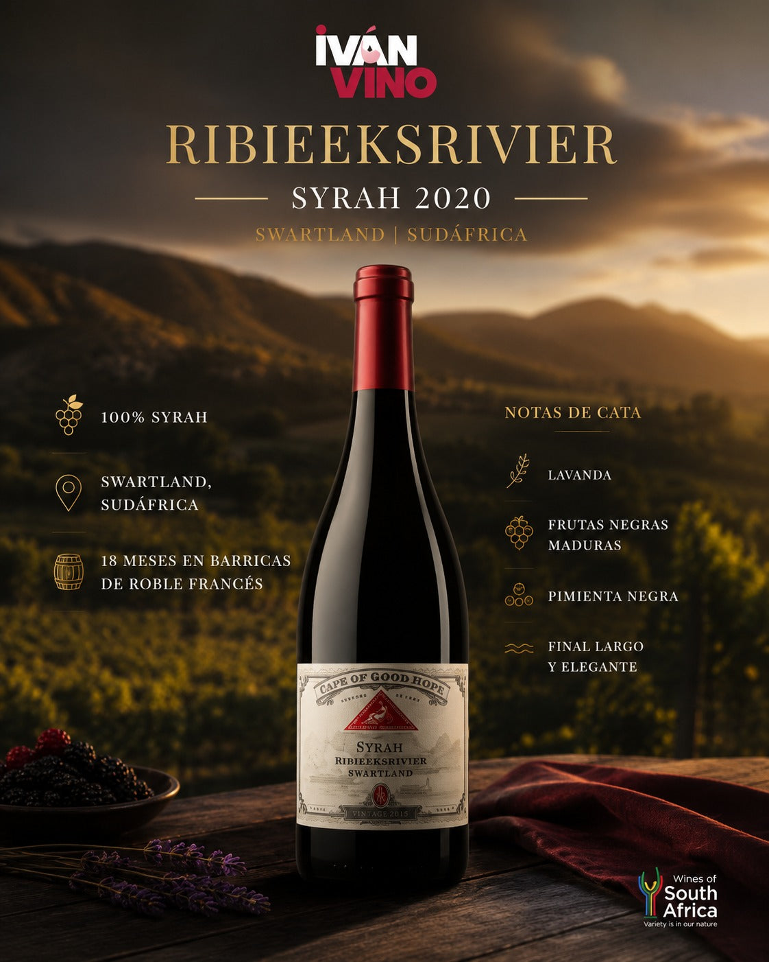 RIBIEEKSRIVIER SYRAH 2020