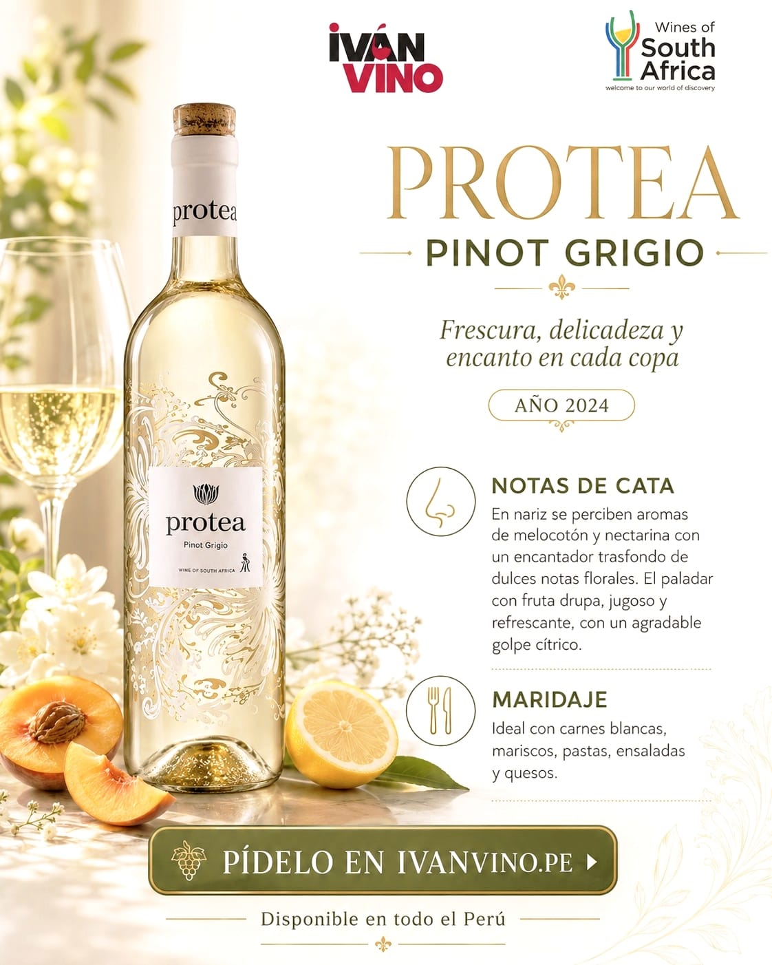PROTEA PINOT GRIGIO