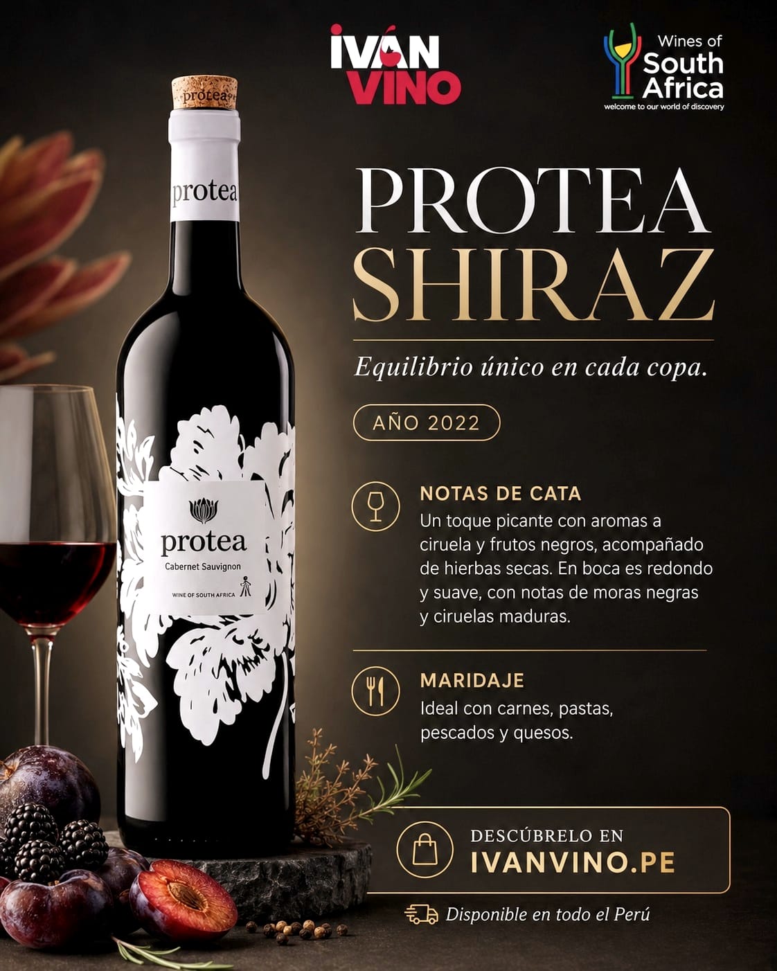 PROTEA SHIRAZ